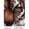 Глаз тигра Раскраска картина по номерам на холсте
