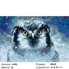  Зимняя сова Раскраска картина по номерам на холсте A430