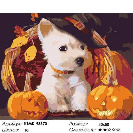 Количество цветов и сложность Щенок с тыквами Раскраска картина по номерам на холсте KTMK-93370