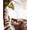  Любопытный котенок с бабочкой Раскраска картина по номерам на холсте KTMK-41133