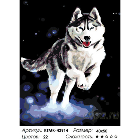 Количество цветов и сложность Северный пес Раскраска картина по номерам на холсте KTMK-43914
