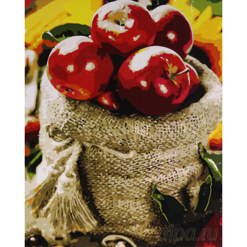 мешок яблок. мешок яблок. мешочек яблок. мешочек с вышивкой для сушеных яблок. мешочки для сушеных яблок.