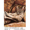 Количество цветов и сложность Строгий кот Раскраска картина по номерам на холсте AYAY-22012018