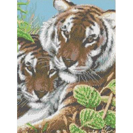 Тигры Канва с рисунком для вышивки бисером