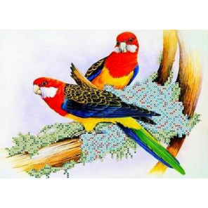 Попугаи Канва с рисунком для вышивки бисером