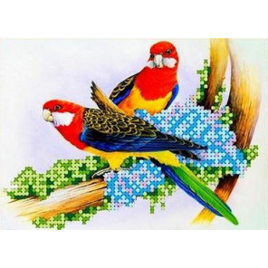 Попугаи Канва с рисунком для вышивки бисером