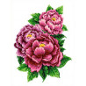 Розовые пионы Канва с рисунком для вышивки бисером