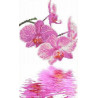 Орхидеи Канва с рисунком для вышивки бисером
