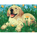 Весеый щенок Раскраска картина по номерам на холсте