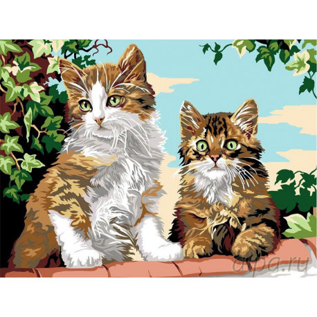 Котята на заборе Раскраска картина по номерам на холсте