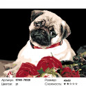 Мопс с розами Раскраска картина по номерам на холсте 