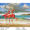 Количество цветов и сложность Карамельный фламинго Раскраска картина по номерам на холсте ZX 21839