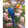  Яркие попугаи Раскраска картина по номерам на холсте ZX 21453