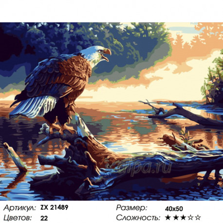 Количество цветов и сложность Орел на реке Раскраска картина по номерам на холсте ZX 21489