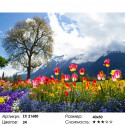 Количество цветов и сложность Тюльпановое поле Раскраска картина по номерам на холсте ZX 21680