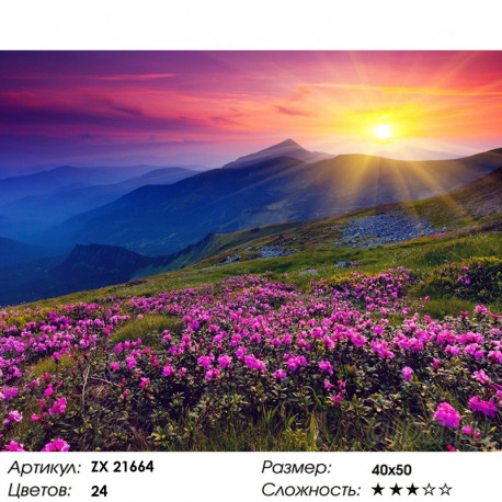 Количество цветов и сложность Рассвет солнца Раскраска картина по номерам на холсте ZX 21664