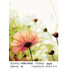 Количество цветов и сложность Нежность цветка Раскраска картина по номерам на холсте KTMK-69536