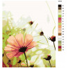Раскладка Нежность цветка Раскраска картина по номерам на холсте KTMK-69536