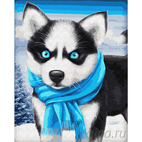  Голубоглазый щенок хаски Раскраска картина по номерам на холсте Z-GX23297