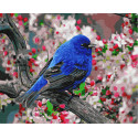 Синяя птица счастья Раскраска картина по номерам на холсте
