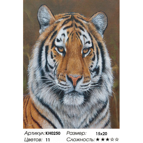  Амурский тигр Раскраска по номерам на холсте Molly KH0250