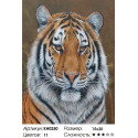 Амурский тигр Раскраска по номерам на холсте Molly