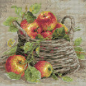  Спелые яблоки Алмазная вышивка мозаика Риолис АМ0015