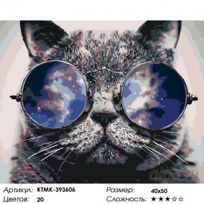 Стильный кот Раскраска по номерам на холсте Живопись по номерам KTMK-393606