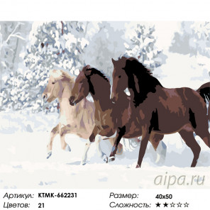  Кони на зимней прогулке Раскраска по номерам на холсте Живопись по номерам KTMK-662231