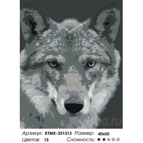 Количество цветов и сложность Серый волк Раскраска по номерам на холсте Живопись по номерам KTMK-351313