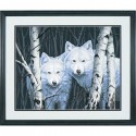 Два белых волка между берез Раскраска (картина) по номерам Dimensions 