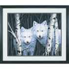 Два белых волка между берез DMS- 91094 Раскраска Dimensions 