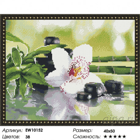 Количество цветов и сложность Японский натюрморт Алмазная вышивка мозаика на подрамнике EW10152