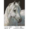 Белый конь Алмазная вышивка мозаика на подрамнике