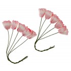 Тюльпаны Бело–розовые Цветы бумажные для скрапбукинга, кардмейкинга Scrapberry's