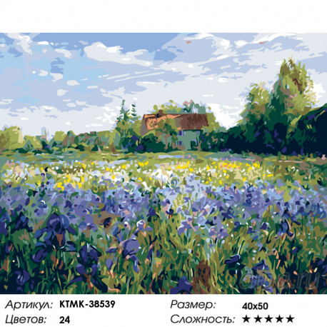 Количество цветов и сложность Поле ирисов Раскраска по номерам на холсте Живопись по номерам KTMK-38539