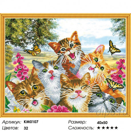 Количество цветов и сложность Веселая компания Алмазная мозаика вышивка на подрамнике Molly KM0107