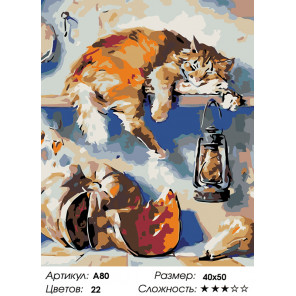 Количество цветов и сложность Кот в чулане Раскраска по номерам на холсте Живопись по номерам A80