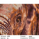 Количество цветов и сложность Мудрый слон Раскраска по номерам на холсте Живопись по номерам A435