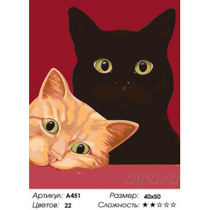  Любопытные котики Раскраска по номерам на холсте Живопись по номерам A451