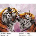 Нежные чувства тигров Раскраска картина по номерам на холсте