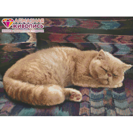  Персидский кот Алмазная вышивка мозаика Алмазная живопись АЖ-1462