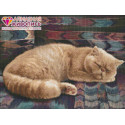 Персидский кот Алмазная вышивка мозаика Алмазная живопись