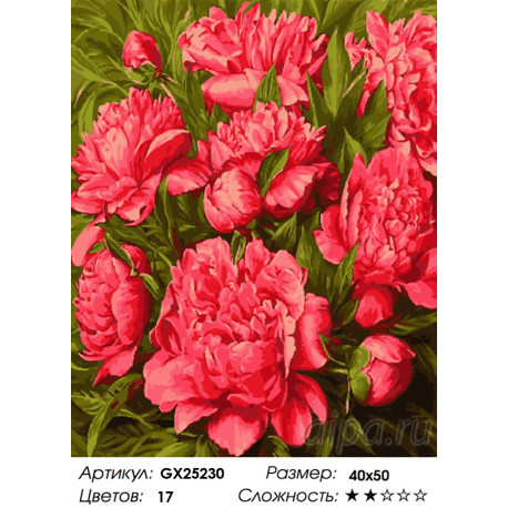 Количество цветов и сложность Яркие пионы Раскраска картина по номерам на холсте  GX25230