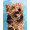  Радостная собачка Раскраска картина по номерам на холсте A472