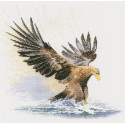  Орёл в полёте Набор для вышивания Heritage FFEF481E