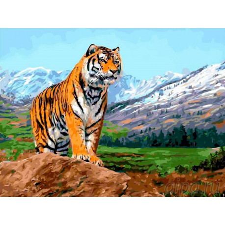 Тигр на фоне гор Раскраска картина по номерам на холсте