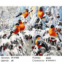 Красногрудые снегири Раскраска картина по номерам на холсте