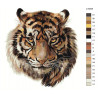 Раскладка Тигр Раскраска по номерам на холсте Живопись по номерам Z-AB45