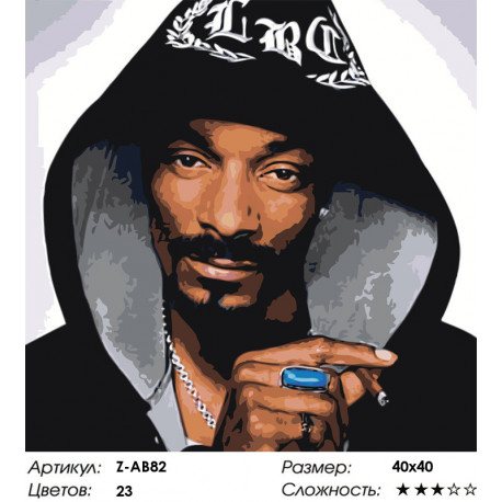Количество красок и сложность Snoop Dogg Раскраска по номерам на холсте Живопись по номерам Z-AB82